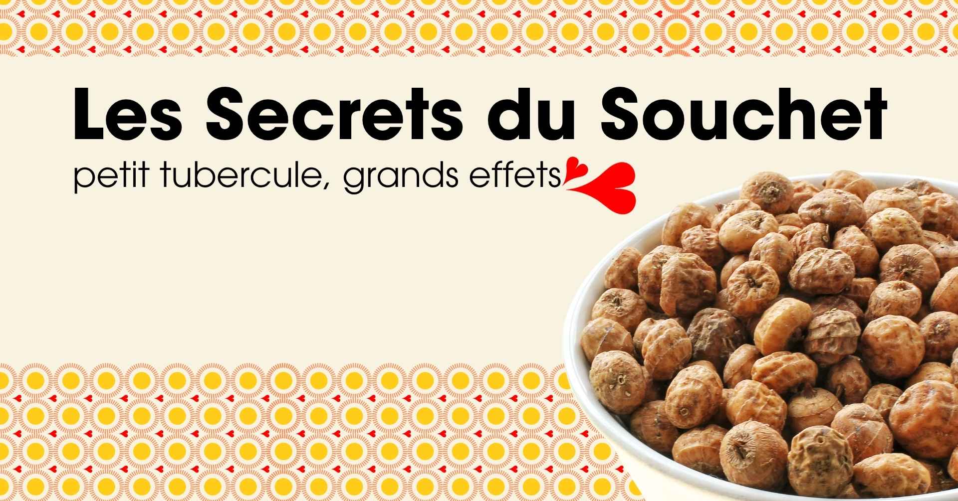 Souchet chufa – tubercule de l'horchata Souchets secs (chufa), petits tubercules à la peau striée au goût de noisette